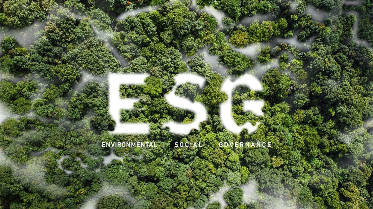 軟通動力ESG評級全面提升：Wind ESG評級再獲AA級，連續(xù)兩年穩(wěn)居行業(yè)第一